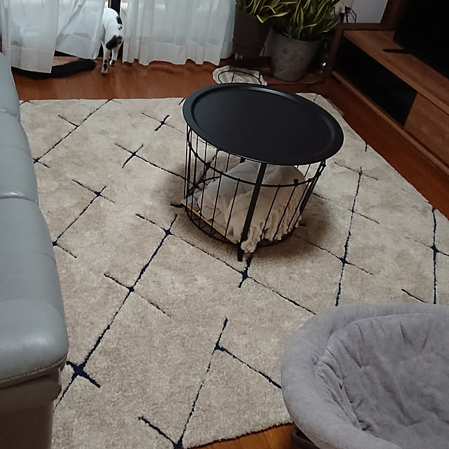 kumiさんの実例写真