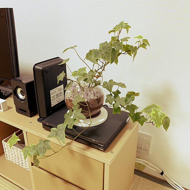 hassakYさんの実例写真