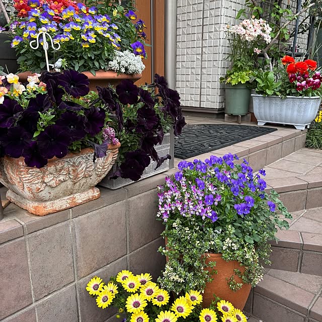 m.h.mammyさんの部屋