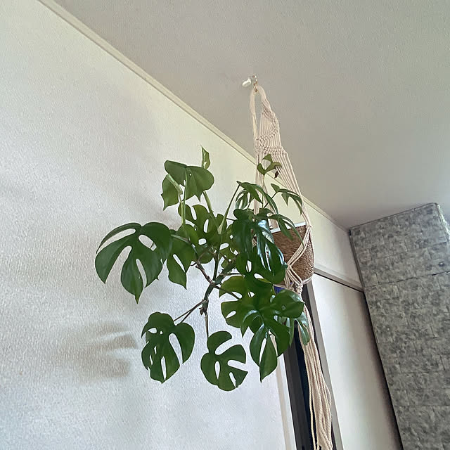 mii_home_39さんの実例写真
