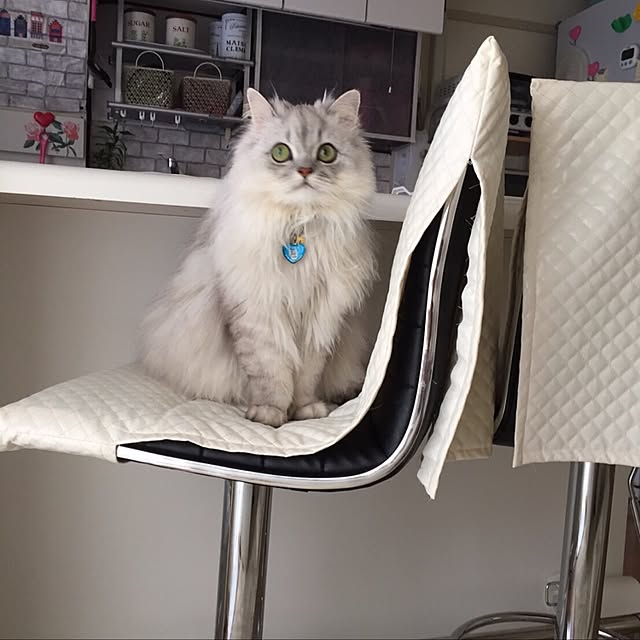 kumaさんの実例写真