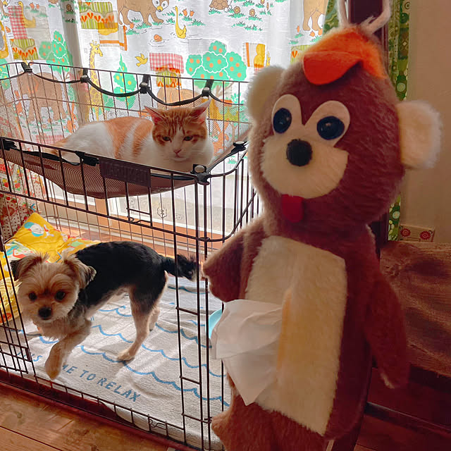 meさんの部屋