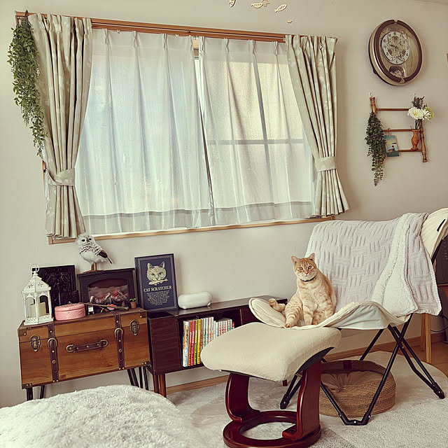 chiiさんの実例写真