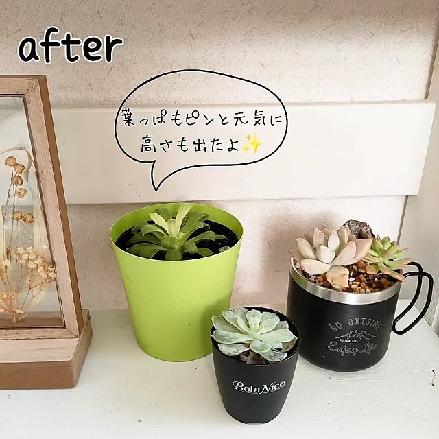 YUKKIさんの部屋