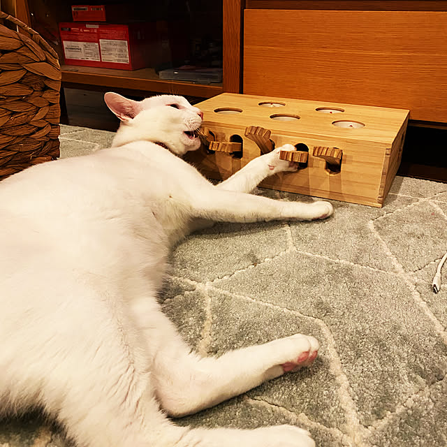 hanaさんの実例写真