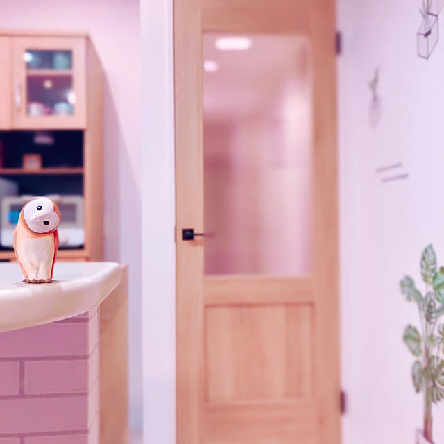 snoopyさんの実例写真