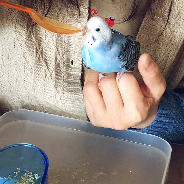 ohanaさんの実例写真