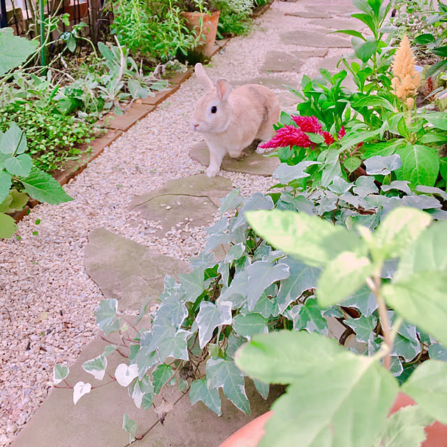 khj1974さんの実例写真