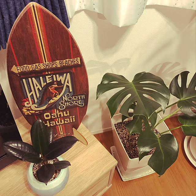 棚/観葉植物/カフェ風のインテリア実例 - 2018-06-16 19:21:15