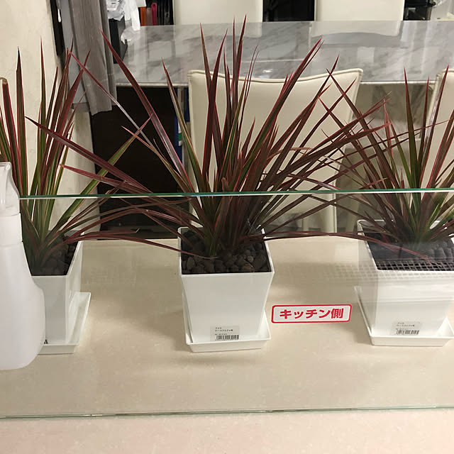 kinokoさんの実例写真