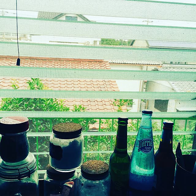 キッチン/観葉植物/カフェ風/セリア/100均...などのインテリア実例 - 2016-08-16 22:36:46
