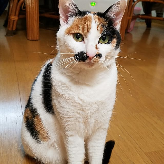 Kinanさんの実例写真