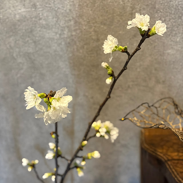 yumirilさんの実例写真