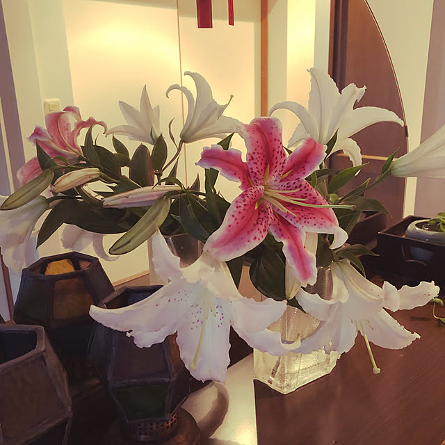 hidechanさんの実例写真