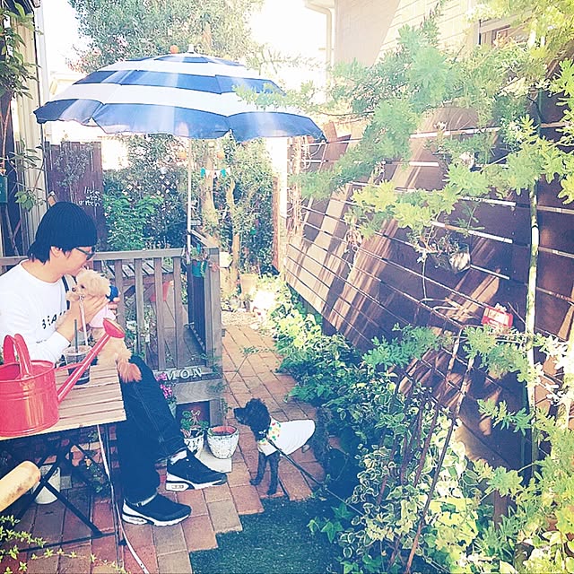risaさんの実例写真