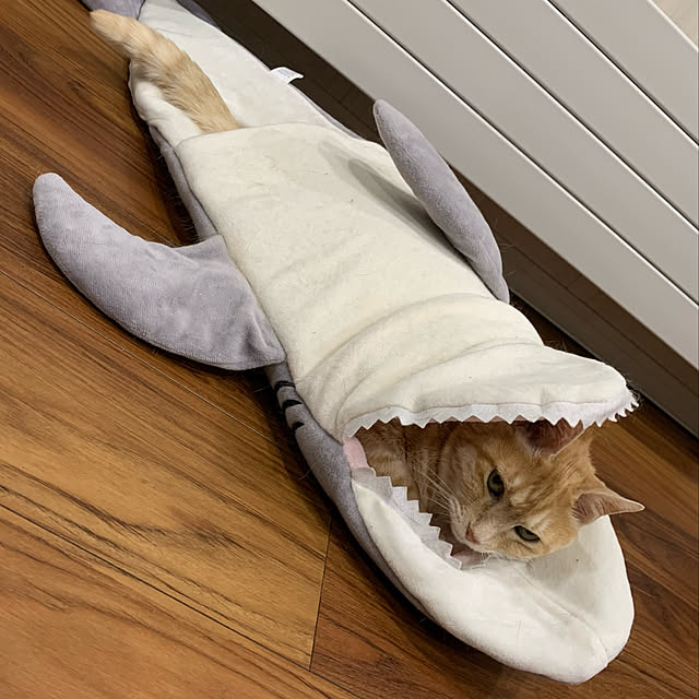 mikeume7さんの実例写真