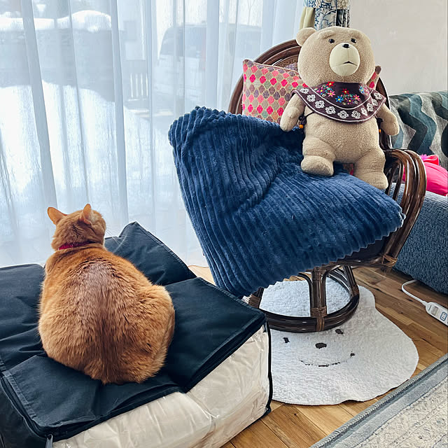 Maruさんの実例写真