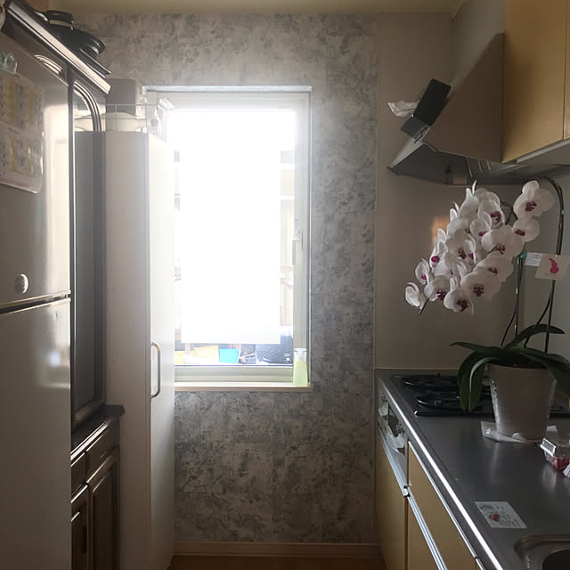Minaさんの実例写真