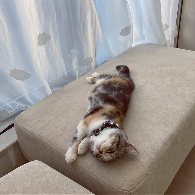 mouseさんの実例写真