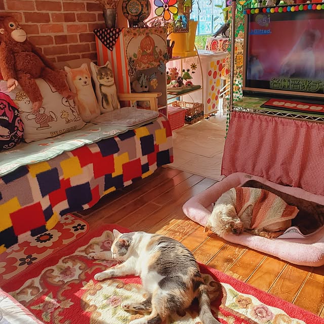 kumutanさんの実例写真