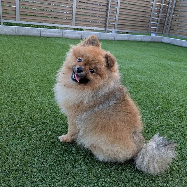 avovo7さんの部屋