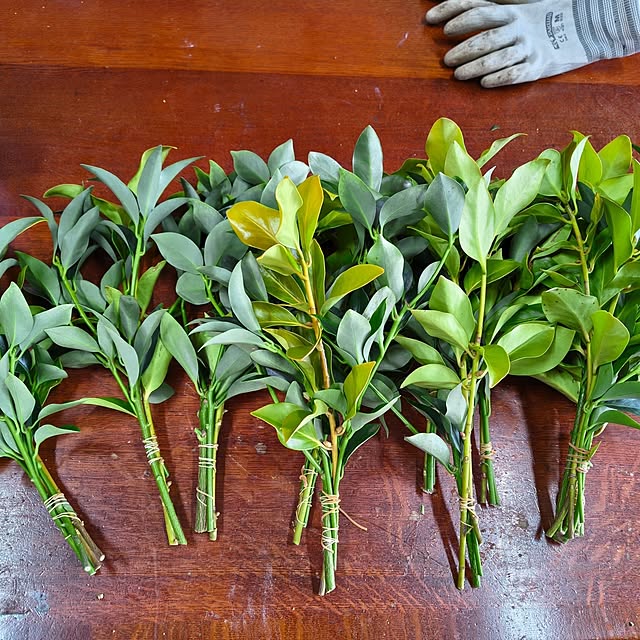 Rubiconさんの部屋