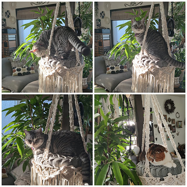 hiro3さんの実例写真
