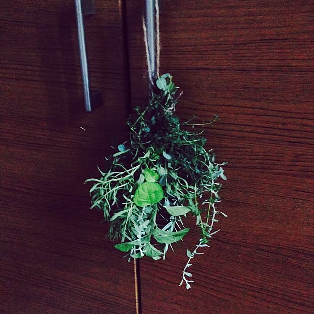 kotoriccoさんの実例写真