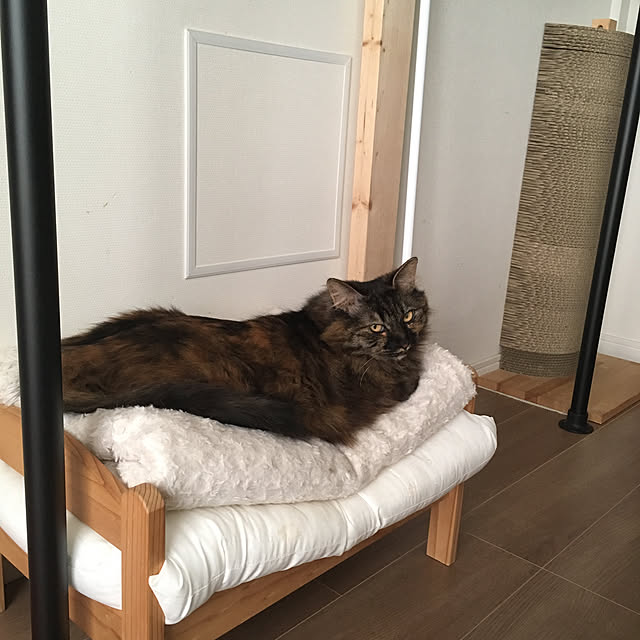 mikomaruさんの実例写真
