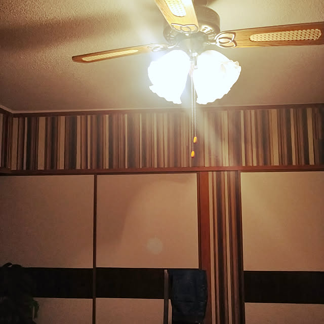 momoさんの実例写真