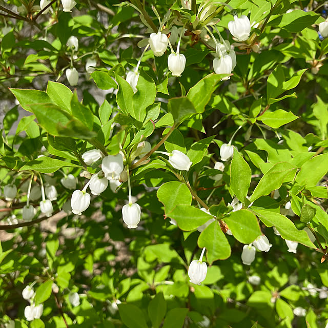 ikubooさんの部屋