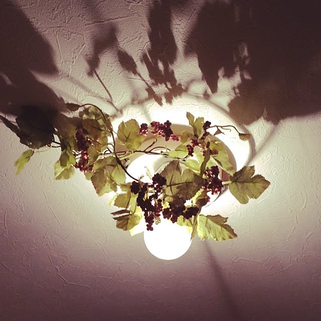 lavender_roseさんの実例写真