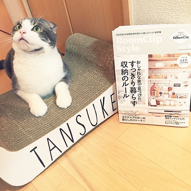 tansukeさんの実例写真