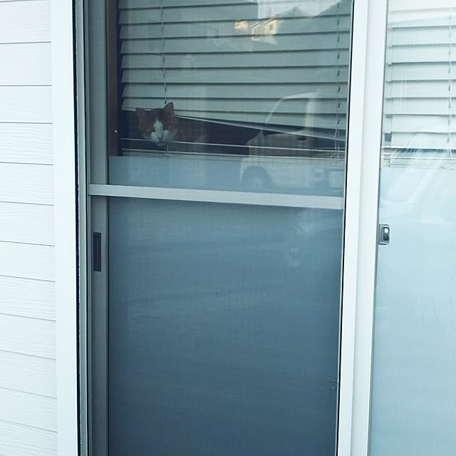 tamacharouさんの実例写真