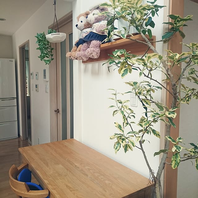 nao525さんの実例写真