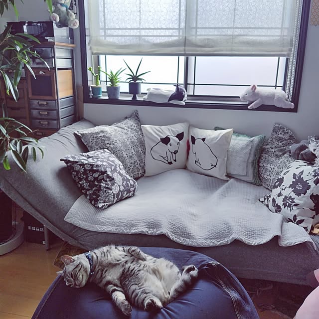 hiro3さんの実例写真
