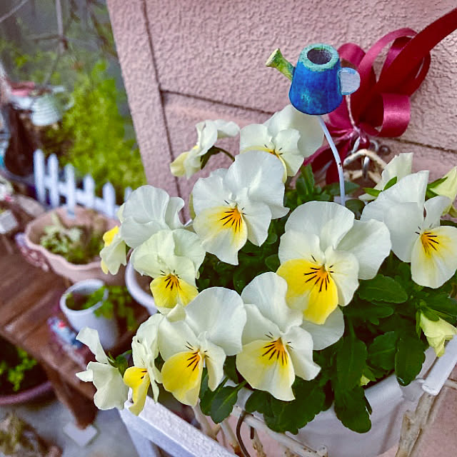 takakoさんの実例写真