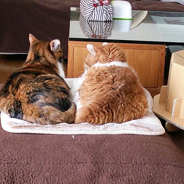 charさんの実例写真