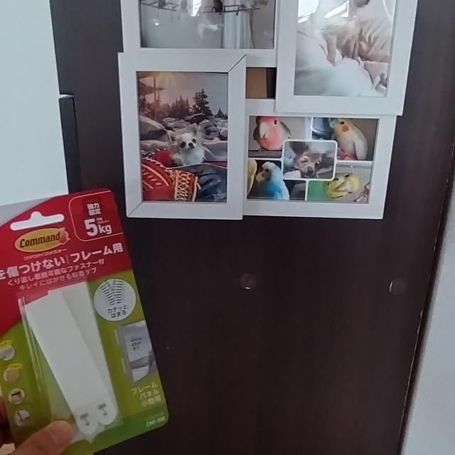 toratanさんの実例写真