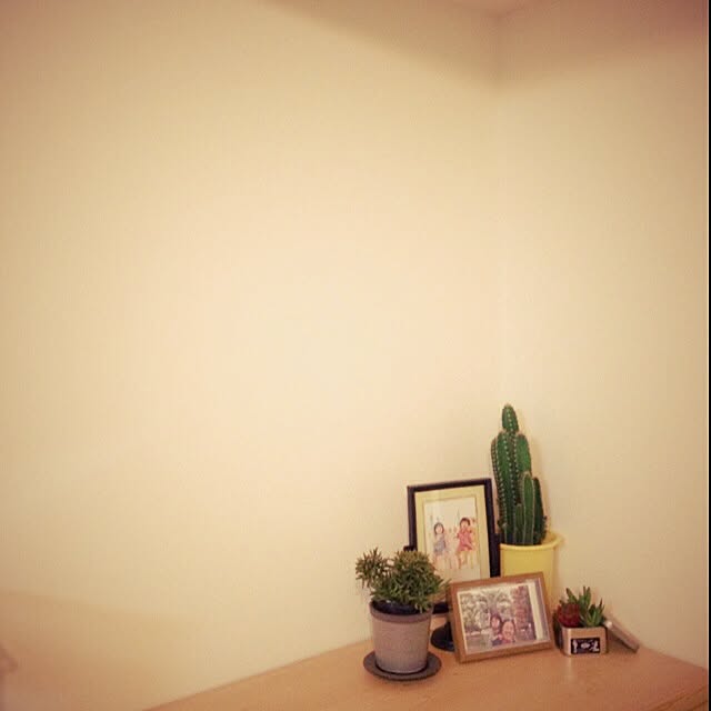 momoさんの実例写真