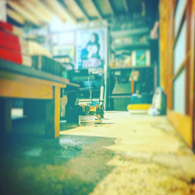 higemanさんの実例写真