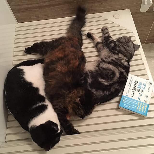 mikomaruさんの実例写真