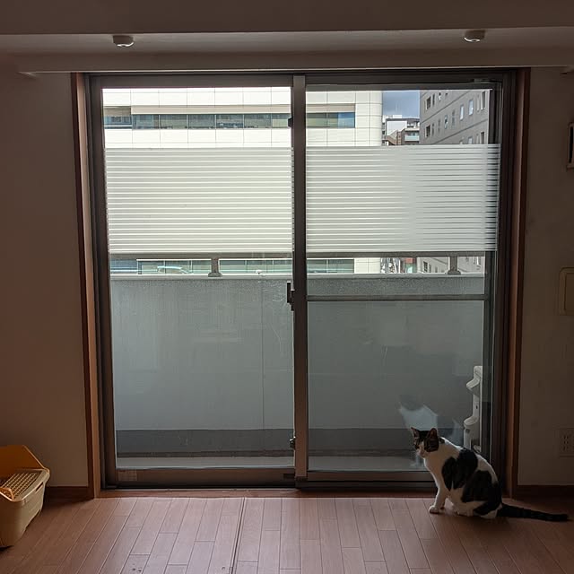 diopucciさんの実例写真