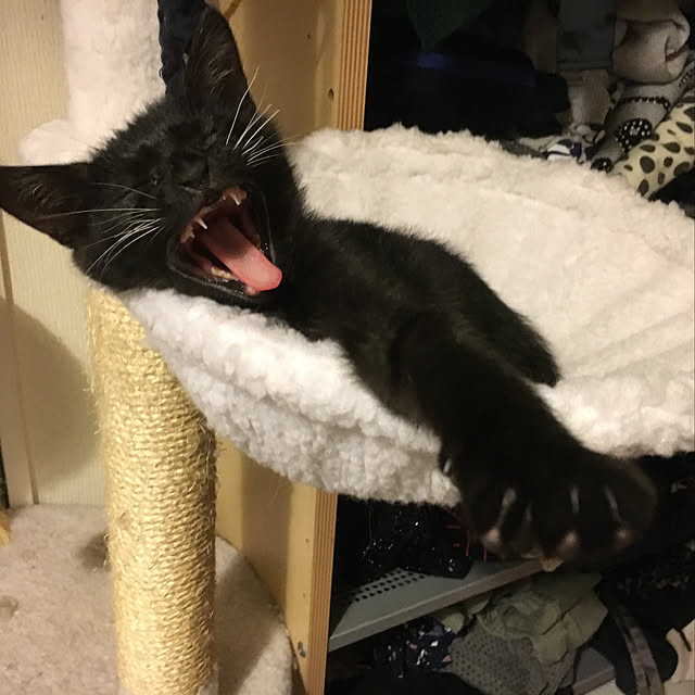 miyabiさんの実例写真