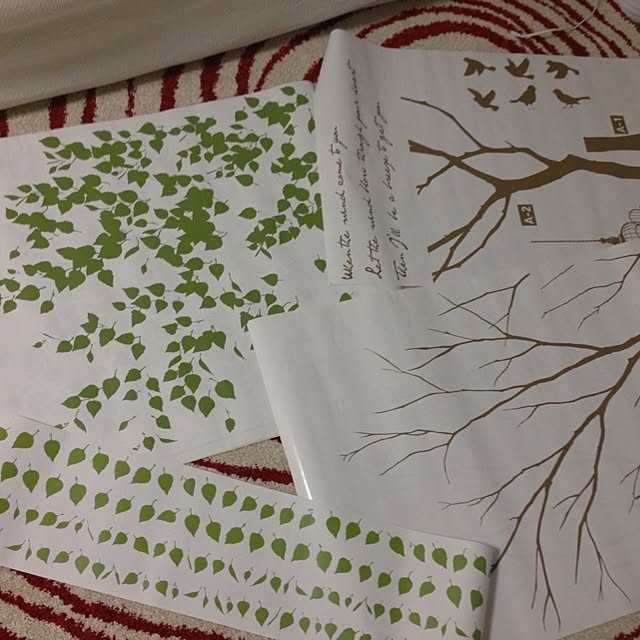 kiyomiさんの実例写真