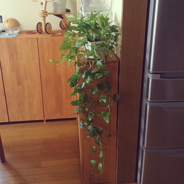 yukaさんの実例写真