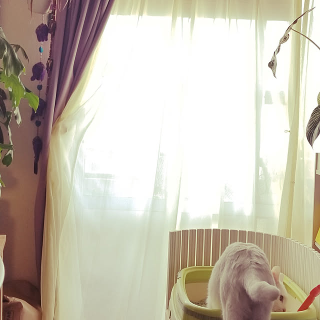 keikomokonさんの実例写真
