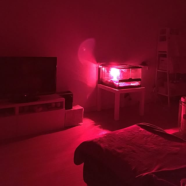 y-cooさんの実例写真