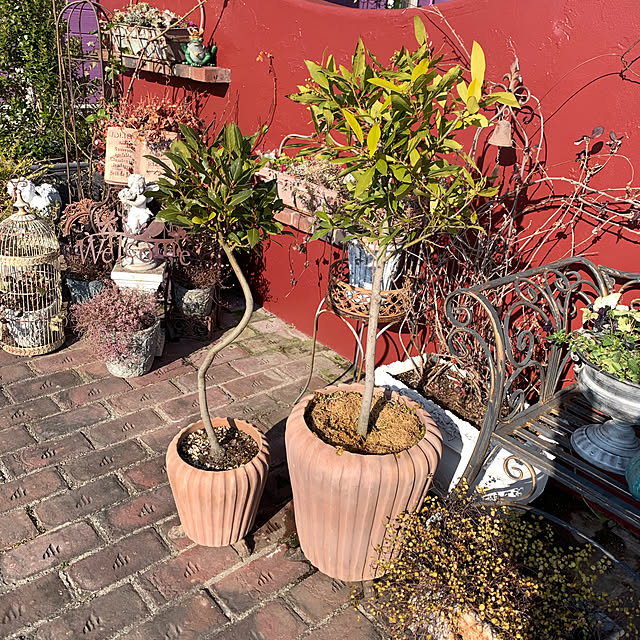 AYUKOさんの実例写真