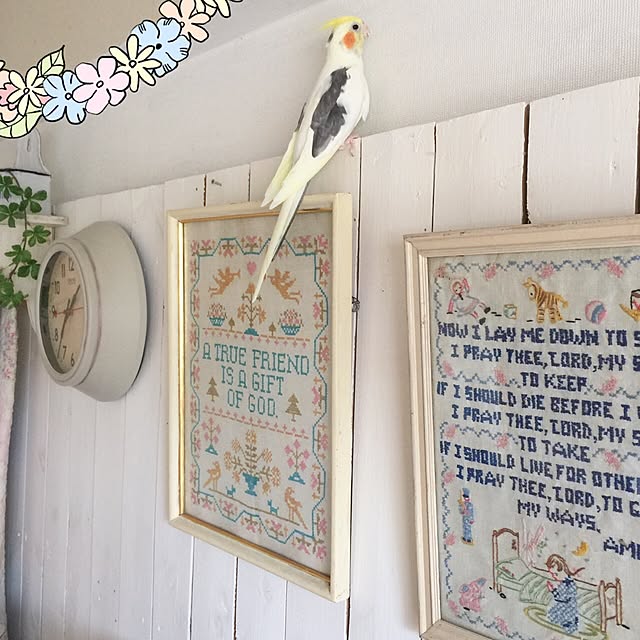 TOMOさんの実例写真